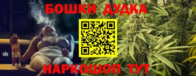 индика Апшеронск