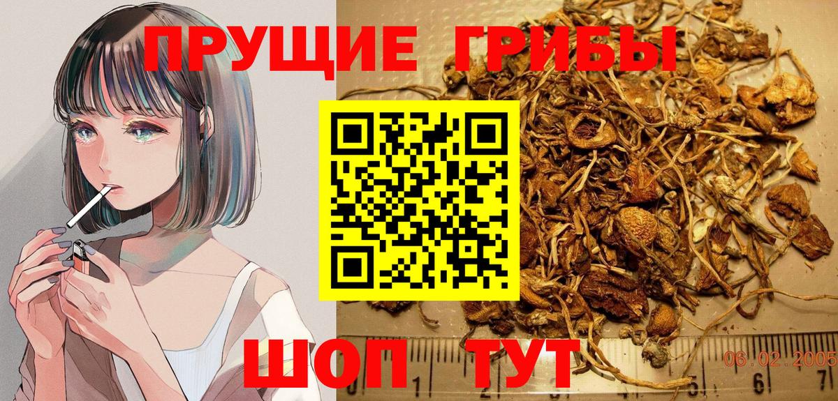 Гусь-Хрустальный  Галлюциногенные грибы ЛСД  Вход с VPN 