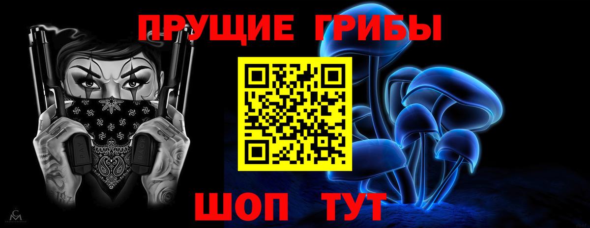 Псилоцибиновые грибы прущие грибы  Гусь-Хрустальный 